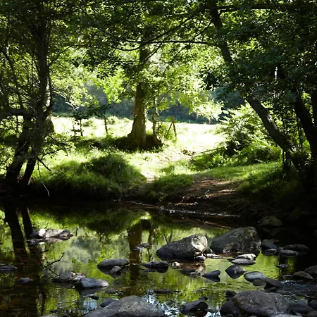 纳格斯酒店 3* Murguía