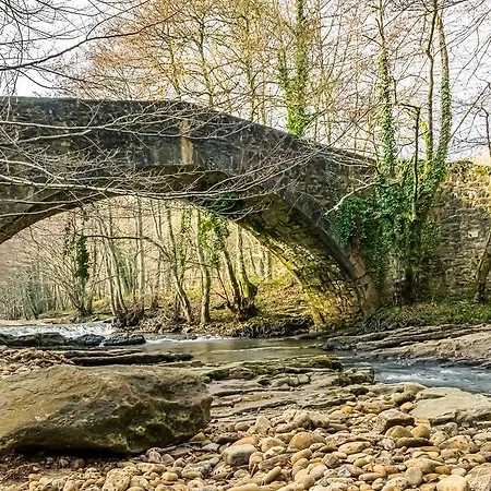 Nagusi 3* ムルギア